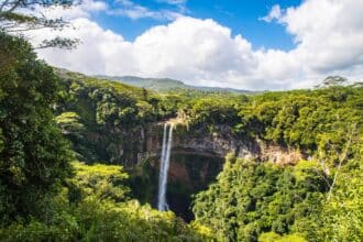 aprendizaje en la naturaleza en niños