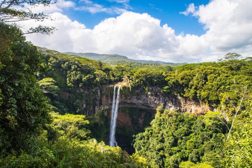 aprendizaje en la naturaleza en niños