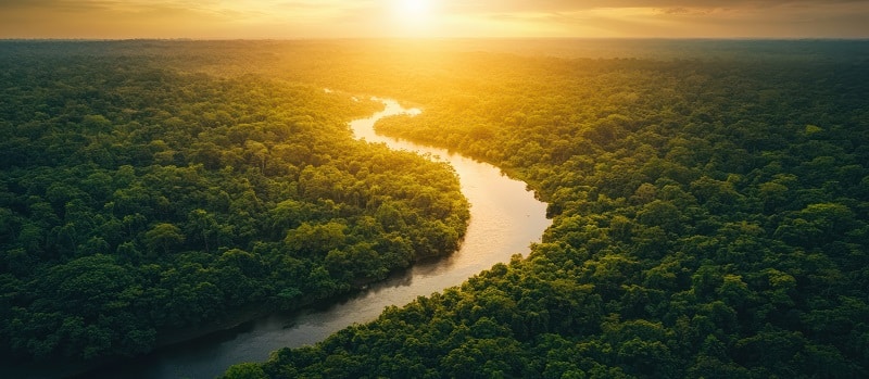 aprendizaje en la naturaleza en niños