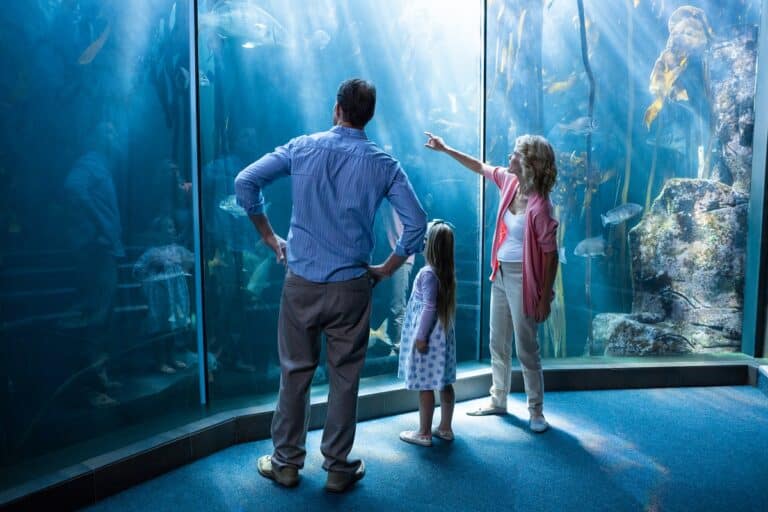 museos maritimos