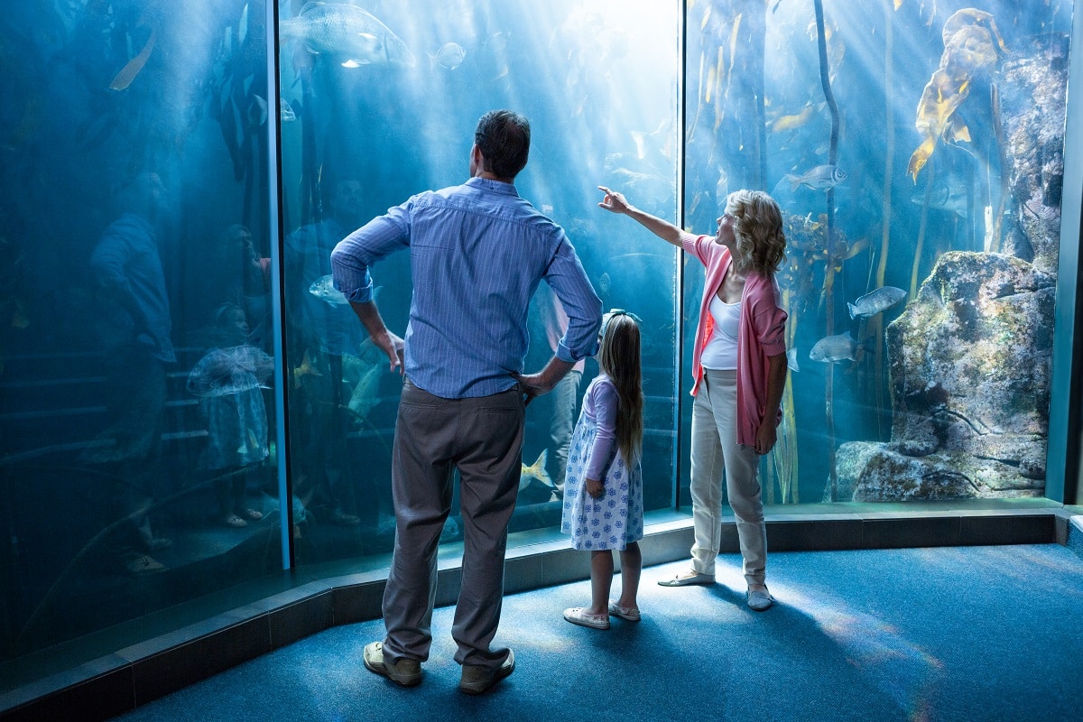 museos maritimos