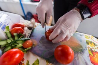 carnet de manipulador de alimentos online