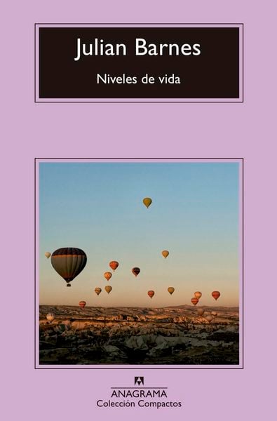 Niveles de vida 